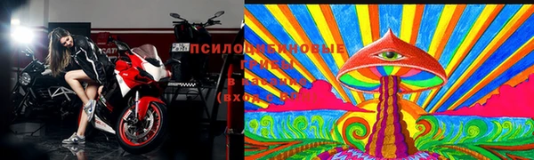 стафф Заволжье